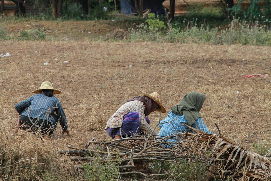 family working on farm