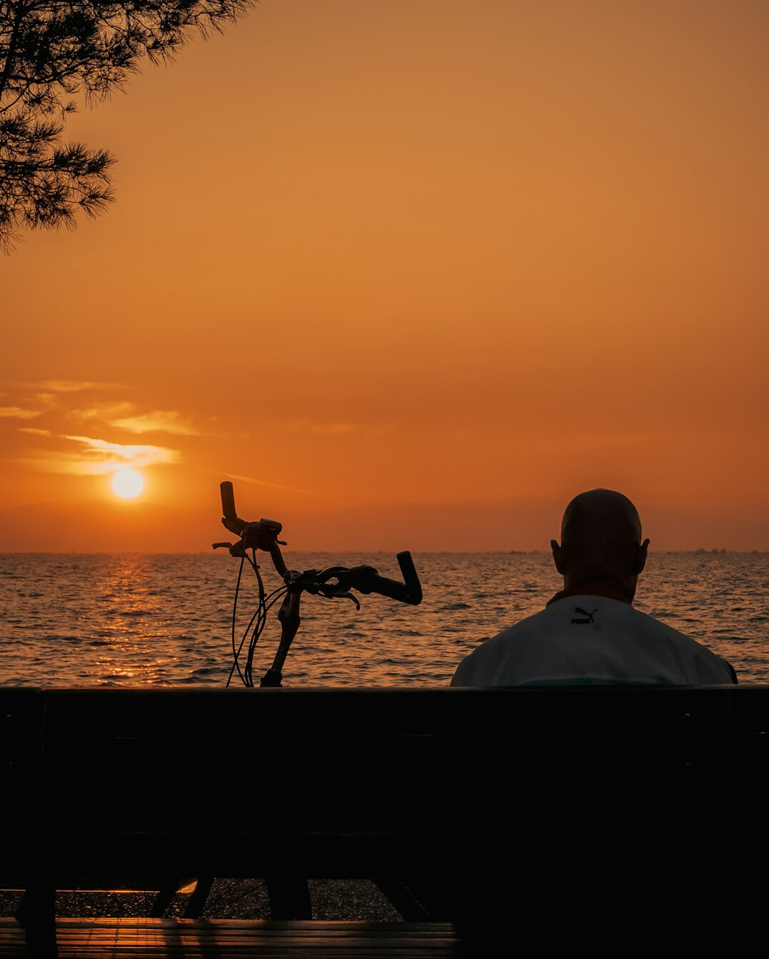 elderly man on bench at sunset