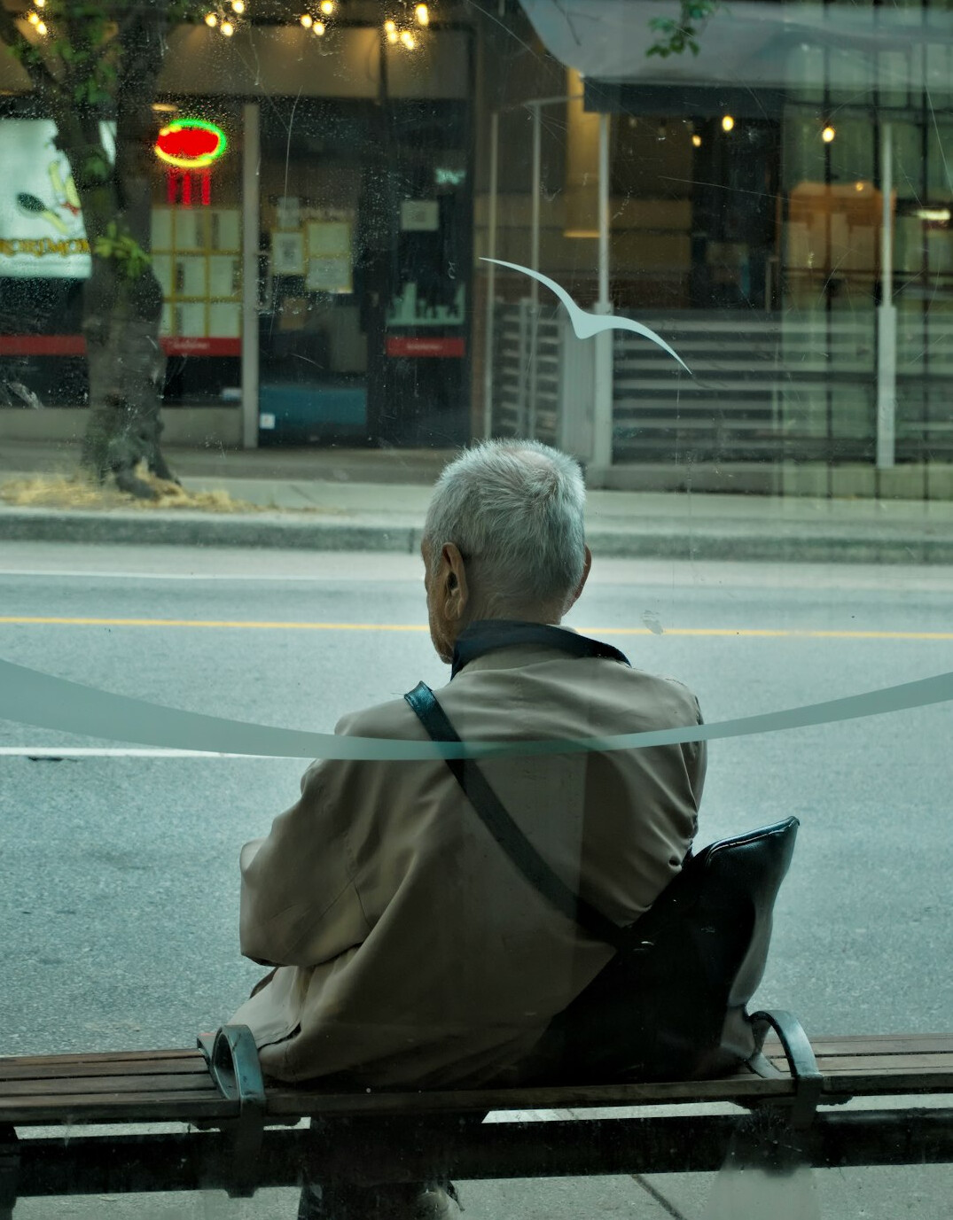 elderly man on bench