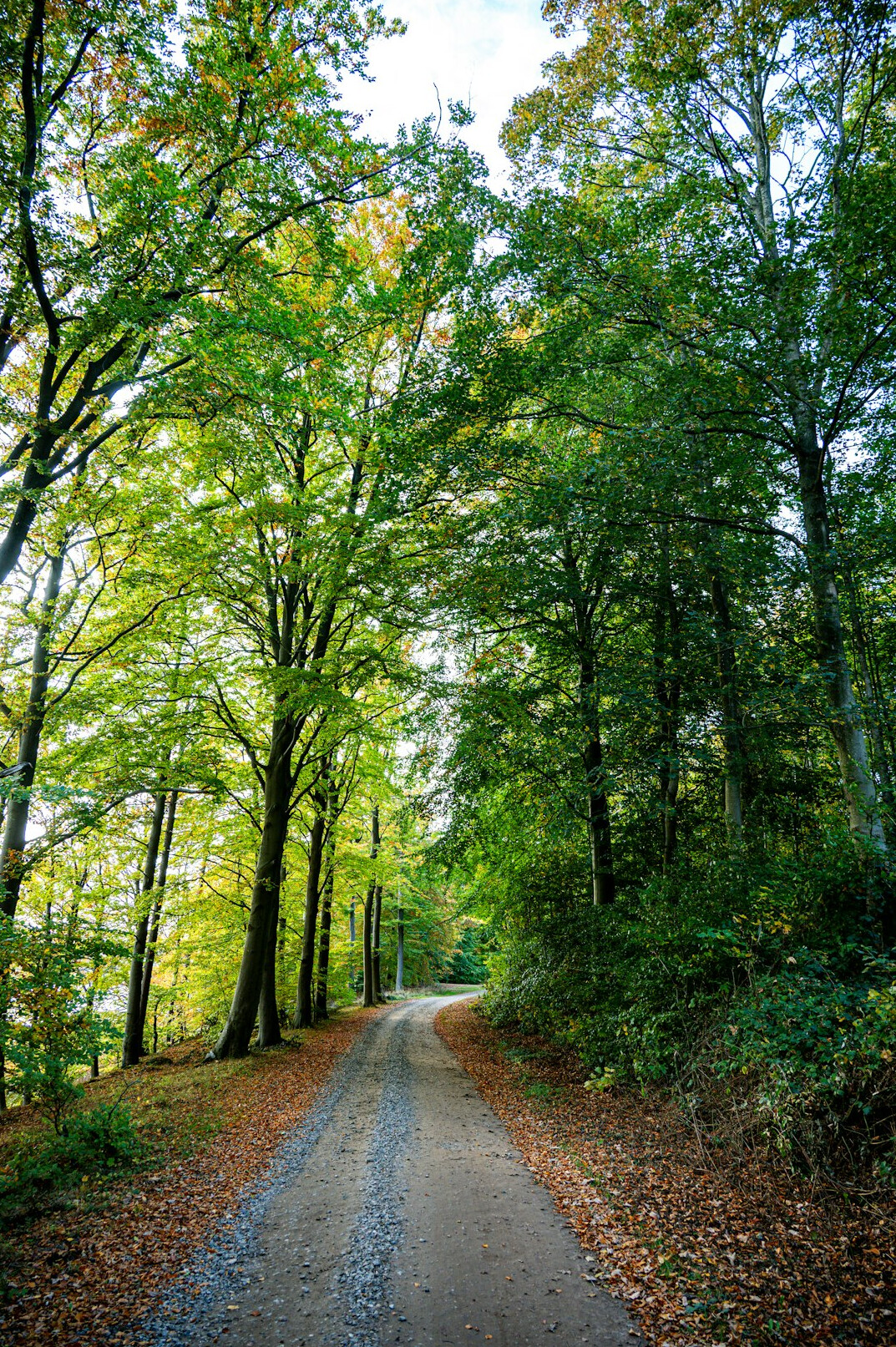 rural danish landscape