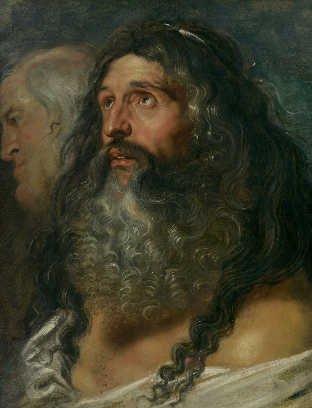 Studio portrait of a Danish man with a beard